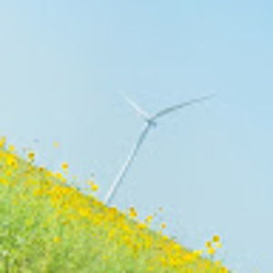 Meet your Posher, Abisael